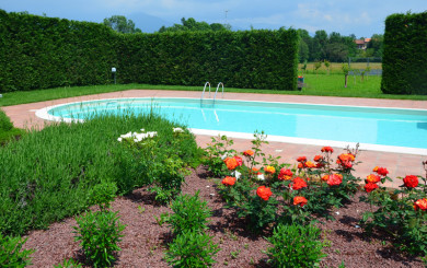 Particolare giardino