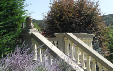 Particolare giardino