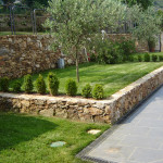 Terrazzamenti e muretto